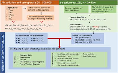 Air pollution, genetic factors and the risk of osteoporosis: A prospective study in the UK biobank